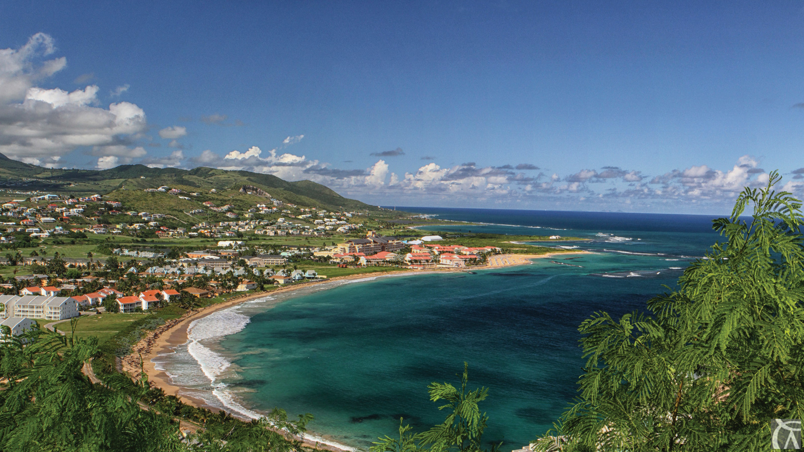 asycuda world st kitts asycuda world st kitts