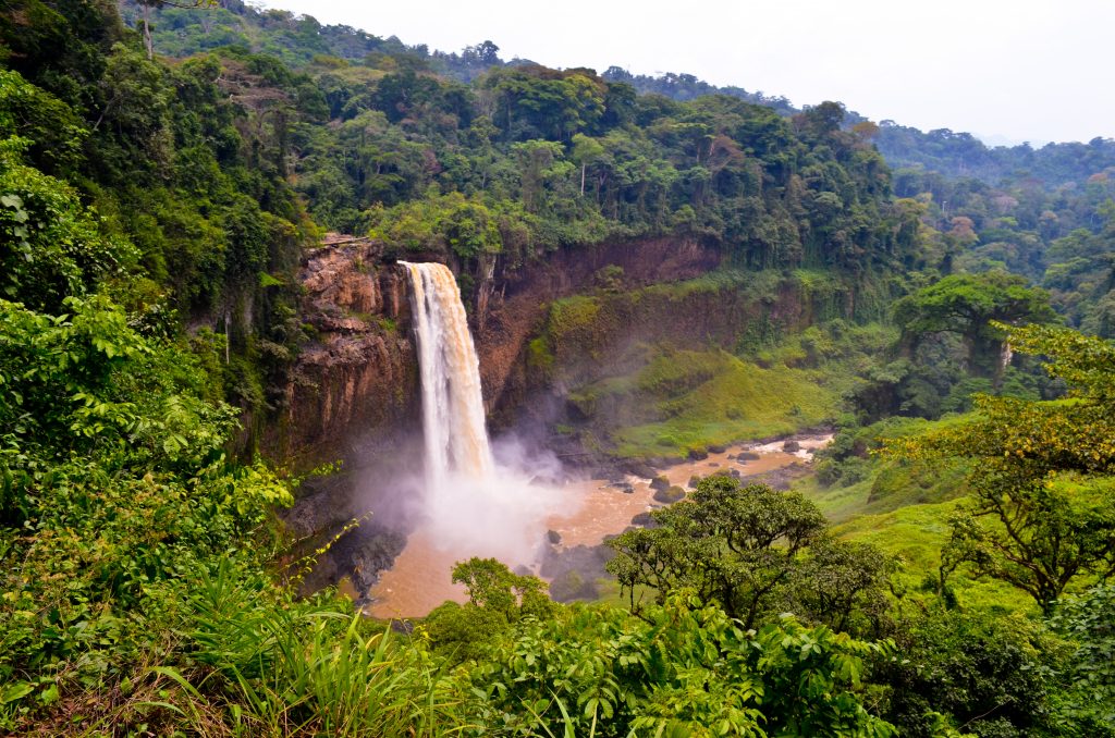 Cameroon Dual Citizenship cameroon-dual-citizenship
