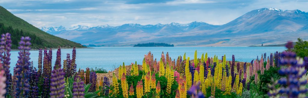 how long does it take to get dual citizenship in new zealand